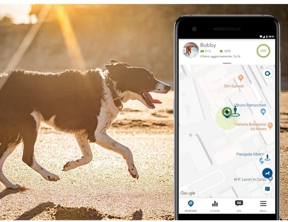 Dog tracker cheap vodafone