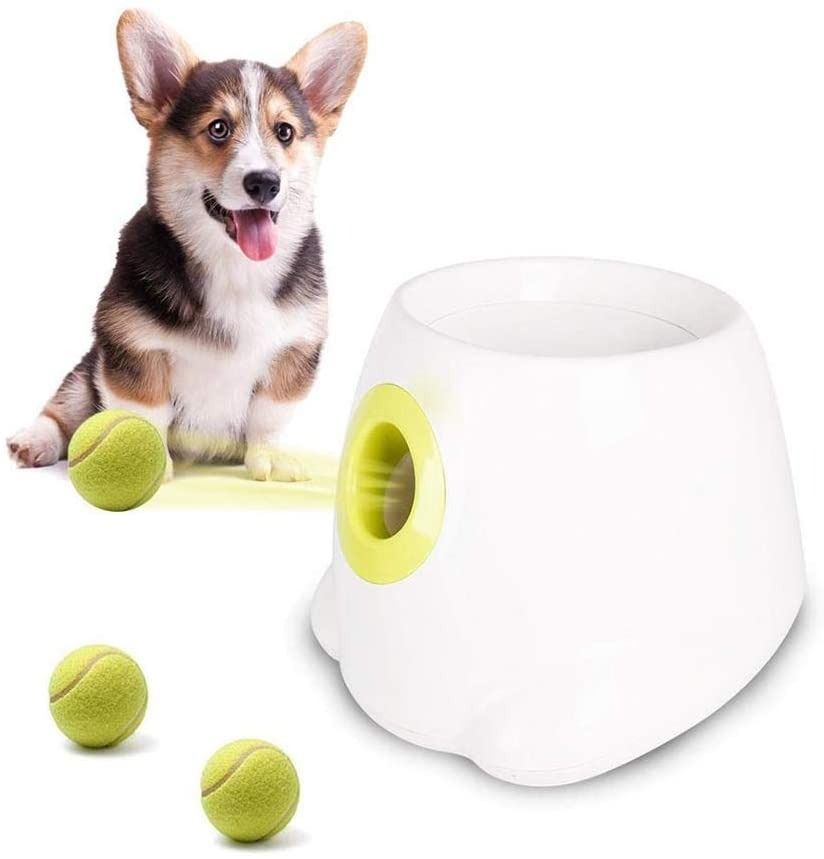 Doggy fun ball launcher cheap