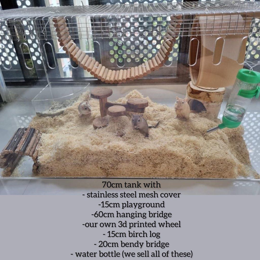 Gerbil playground clearance