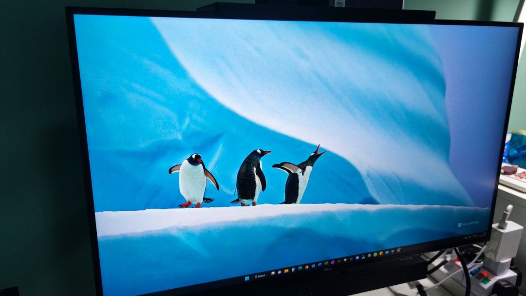 Dell ae515 deals compatible monitors