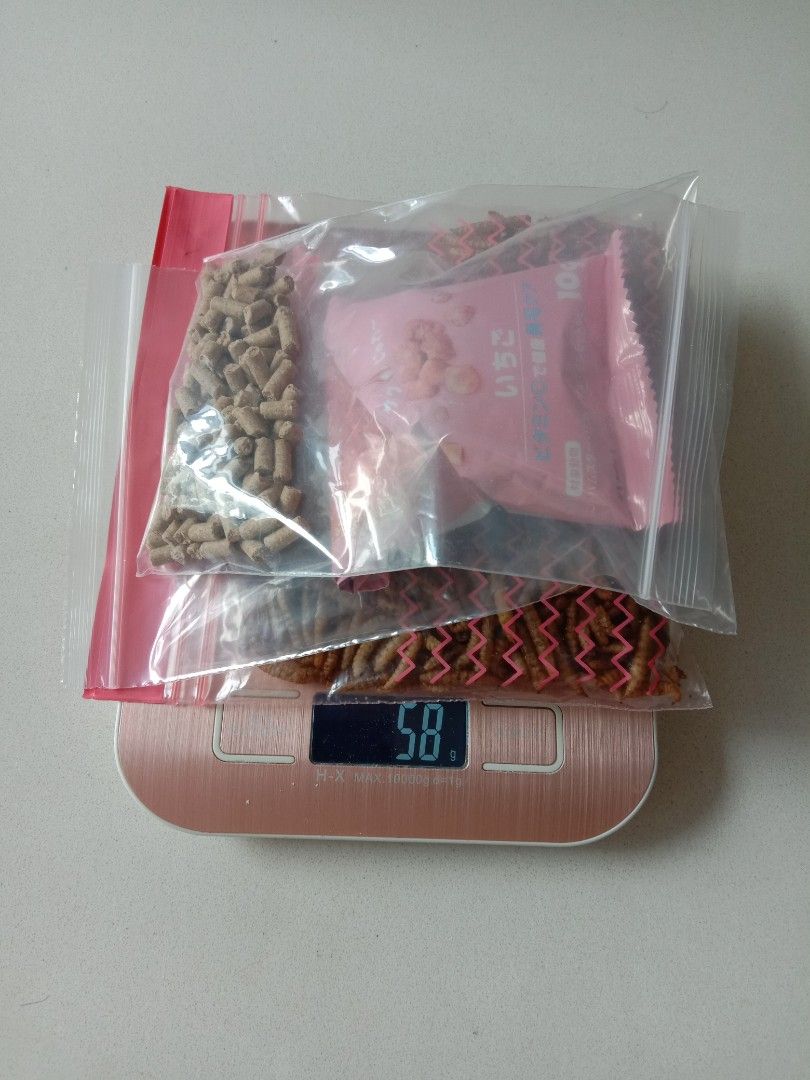 Free hamster treats freeze dried strawberries / mealworms / Gex dwarf food, Pet Supplies