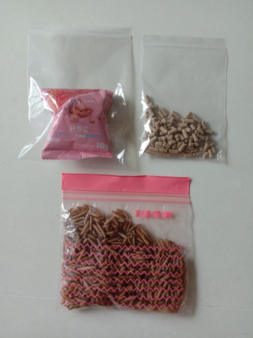 Free hamster treats freeze dried strawberries / mealworms / Gex dwarf food, Pet Supplies