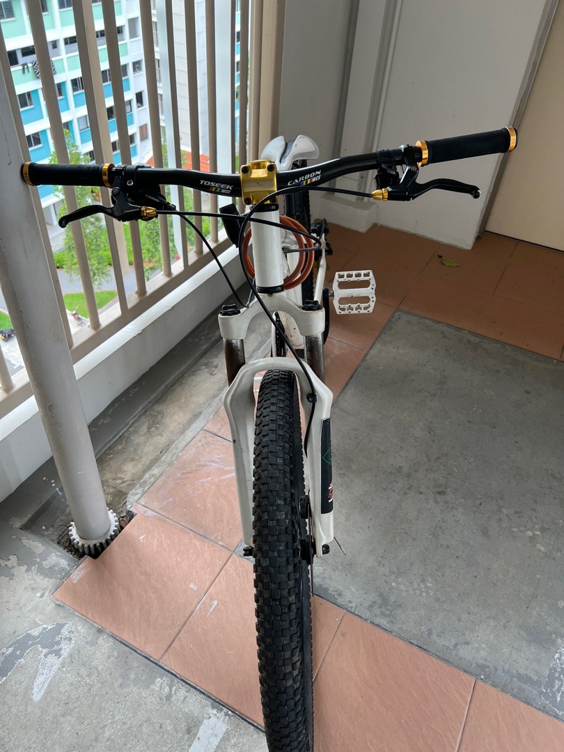 dirt jump mongoose