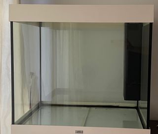(Category: ) located in . Submitted by goodxchange (Listing ID 1204845435, Image 1). Description: .