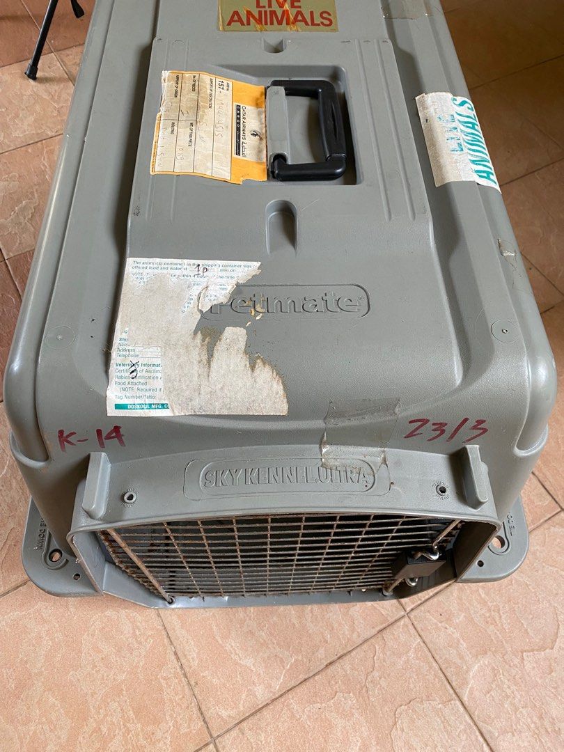 Petmate Sky Kennel Ultra, Pet Supplies, Homes & Other Pet Accessories