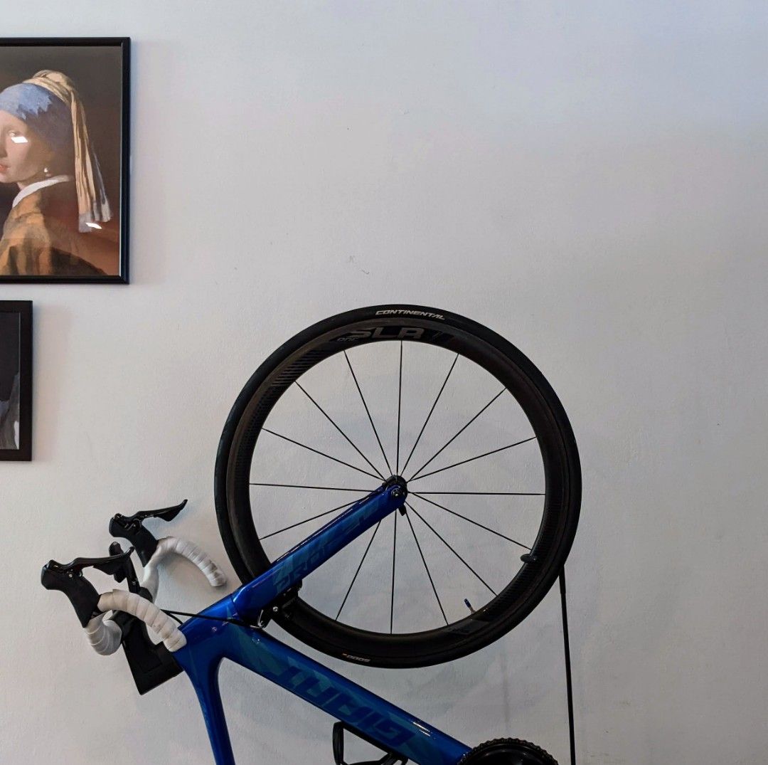 Giant Propel Advanced Pro 2 2019 Sports Equipment Bicycles