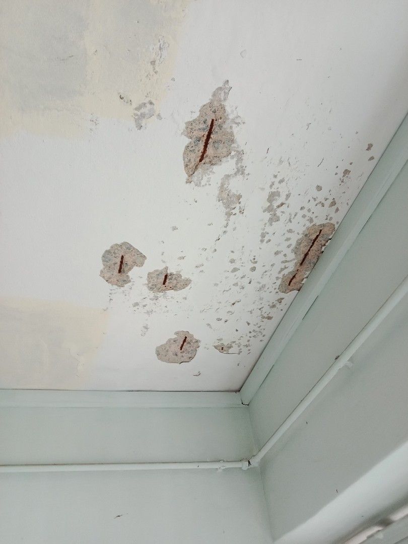 repainting toilet & kitchen and toilet ceilings plastering painting and