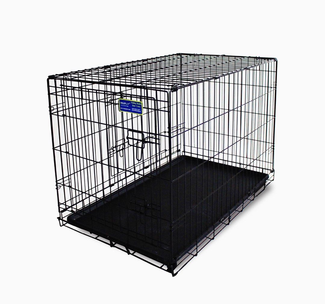 Large dog crate discount pet supplies plus