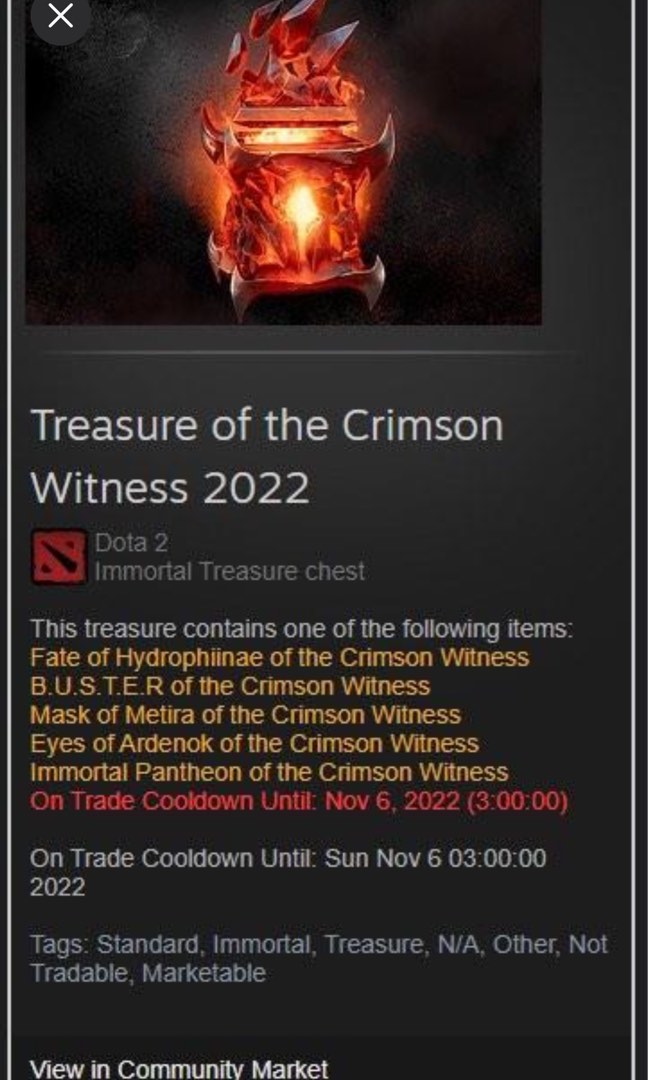 Treasure of the crimson witness 2022, Video Gaming, Gaming Accessories