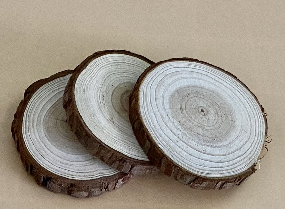 Log Wood, Furniture & Home Living, Home Decor, Other Home Decor on