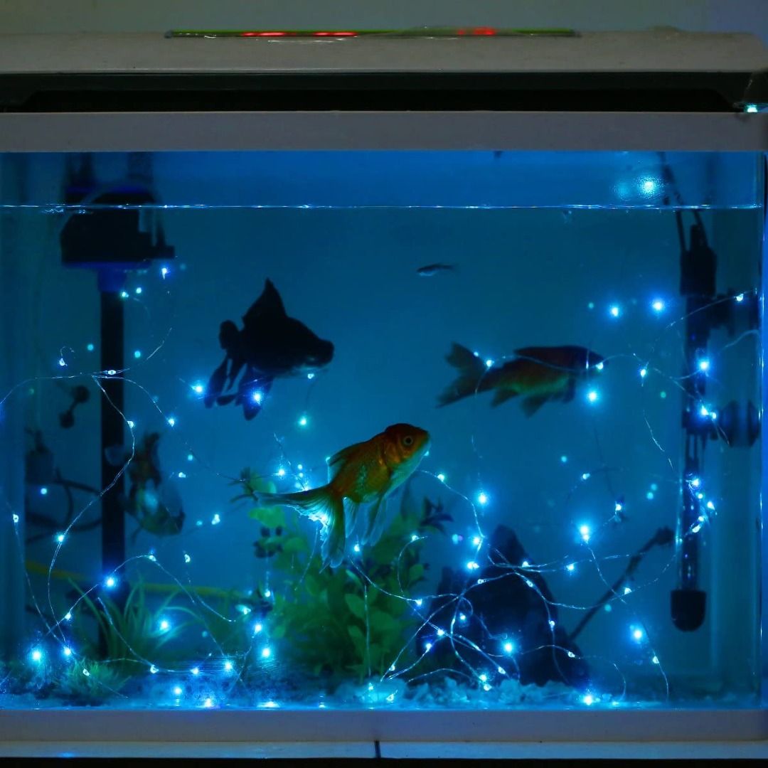 Yihong fairy lights 2025
