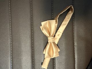 香檳金色煲呔64170643521155110