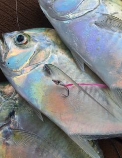(Category: ) located in . Submitted by spinflynation (Listing ID 1205088932, Image 1). Description: .