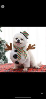 狗狗貓咪 聖誕雪人裝