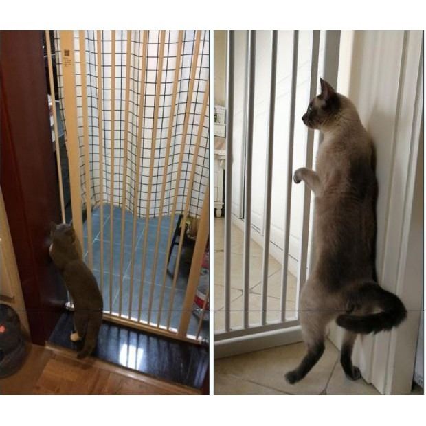 Barrier Gate Tall Short Extension Doorway Block Pet Cat Dog Child