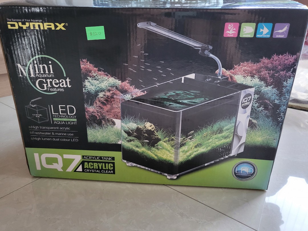 Beginner Fish Tank, Sports Equipment, Fishing on Carousell