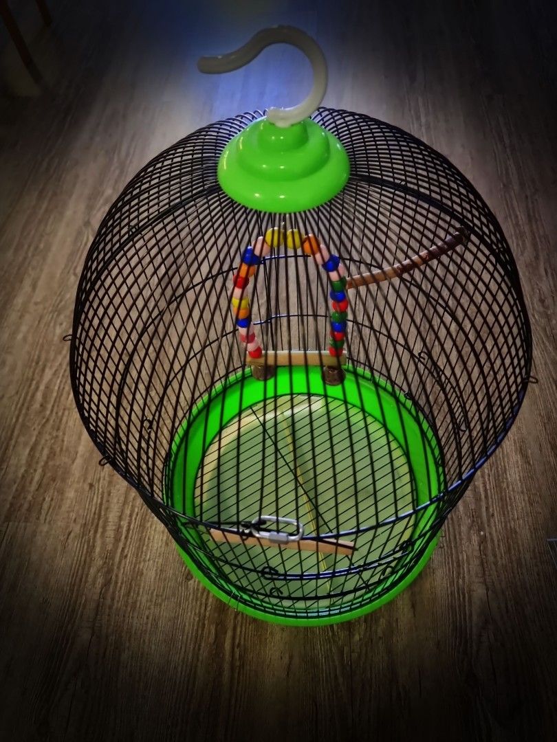 Bird cage, Pet Supplies, Homes & Other Pet Accessories on Carousell