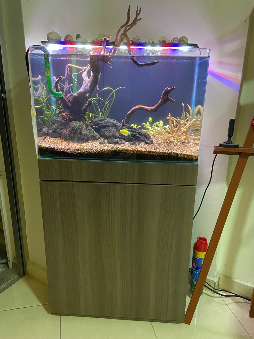 Full Set Aquarium for Sale, Pet Supplies, Homes & Other Pet Accessories