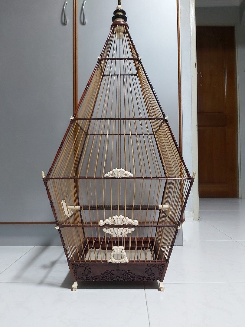 Jambul butterfly cage, Pet Supplies, Homes & Other Pet Accessories on  Carousell