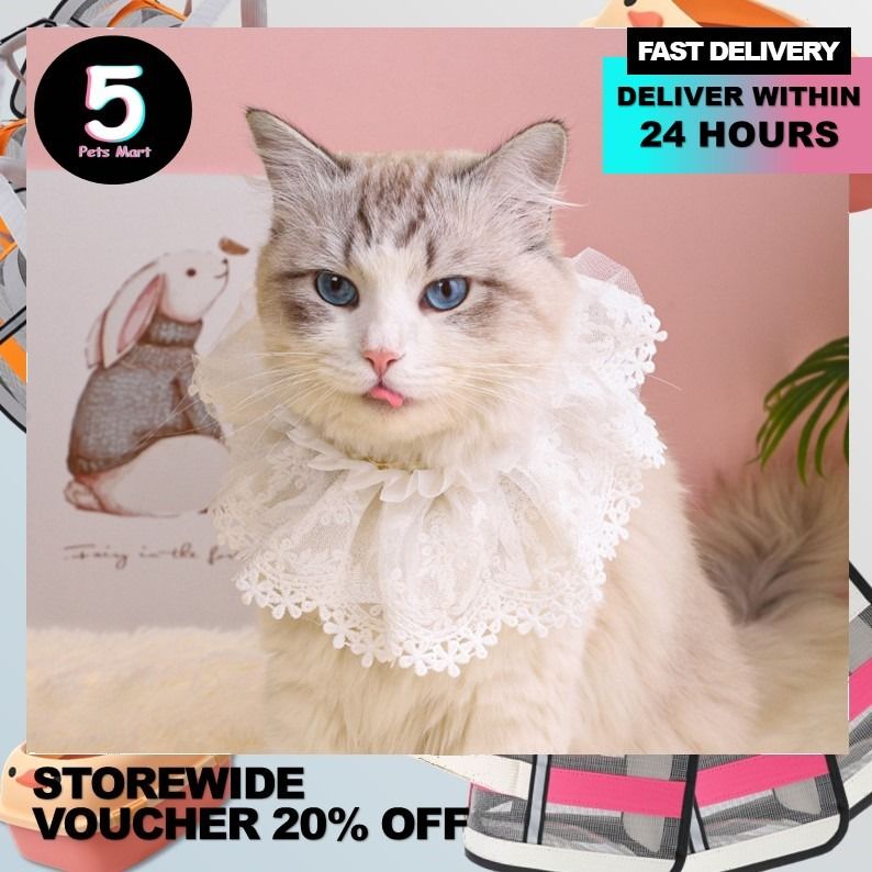 Lace cat collar top