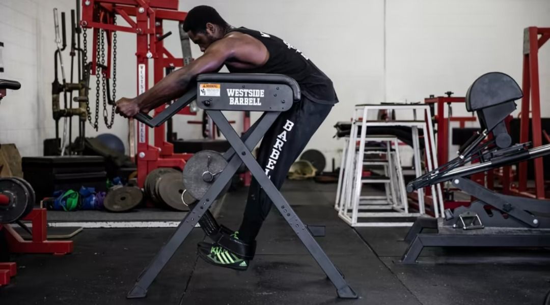 Like New Reverse Hyperextension (Reverse Hyper) for Sale!, Sports ...