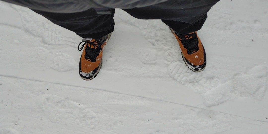 Quechua hotsell sh500 boots