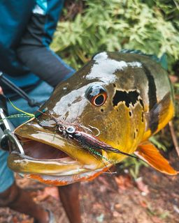 (Category: ) located in . Submitted by spinflynation (Listing ID 1205089351, Image 1). Description: .