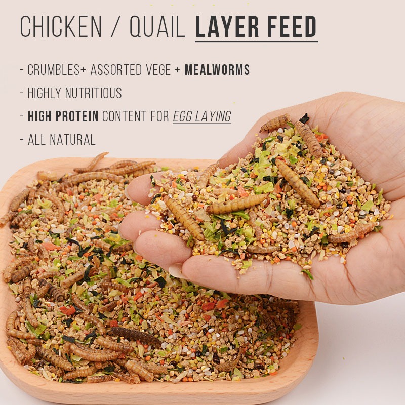 2.5kg High Protein Layer Feed Crumbles for Chicken Quail with Mealworms & Vege, Pet Supplies