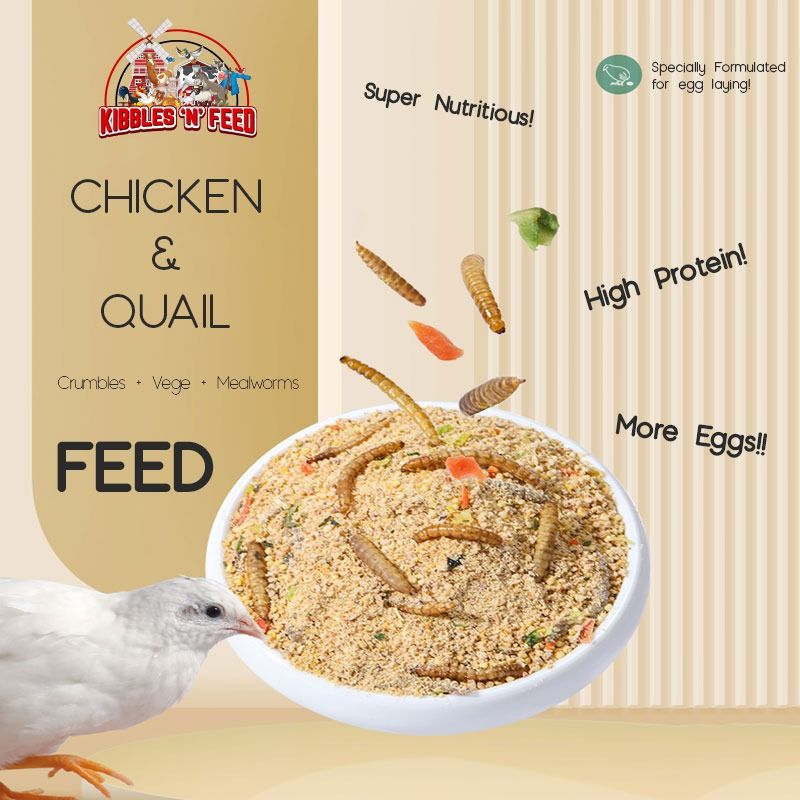 2.5kg MEALWORM + VEGE + Crumbles Chicken Quail Layer Feed, Pet Supplies