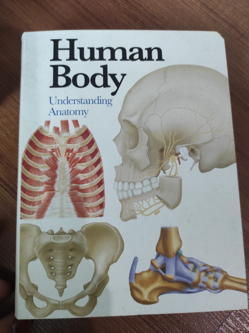 Anatomy, Hobbies & Toys, Books & Magazines, Textbooks On Carousell