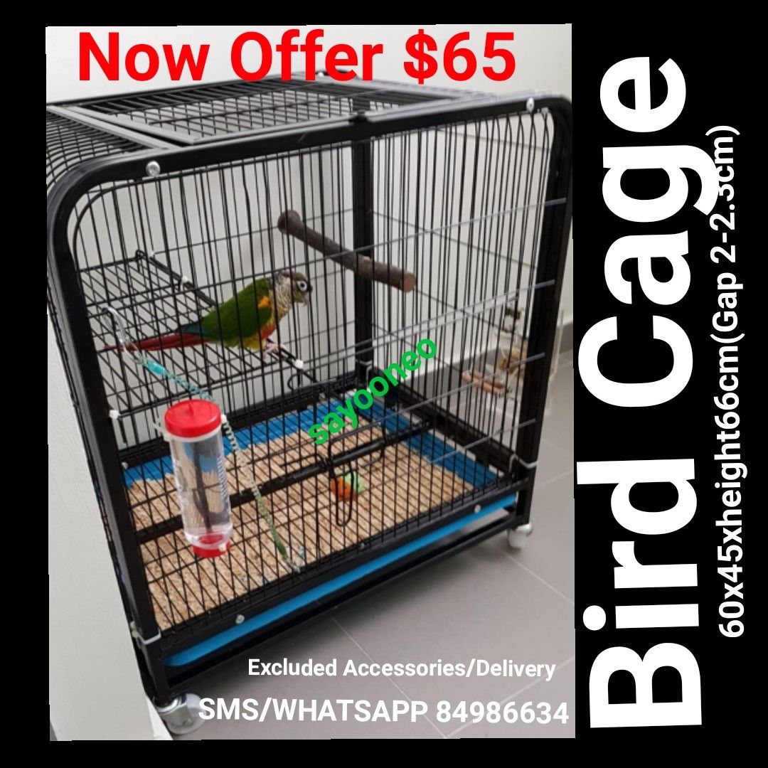 Bird cage Cat Cage Rabbit Cage Pet Supplies Homes Other Pet