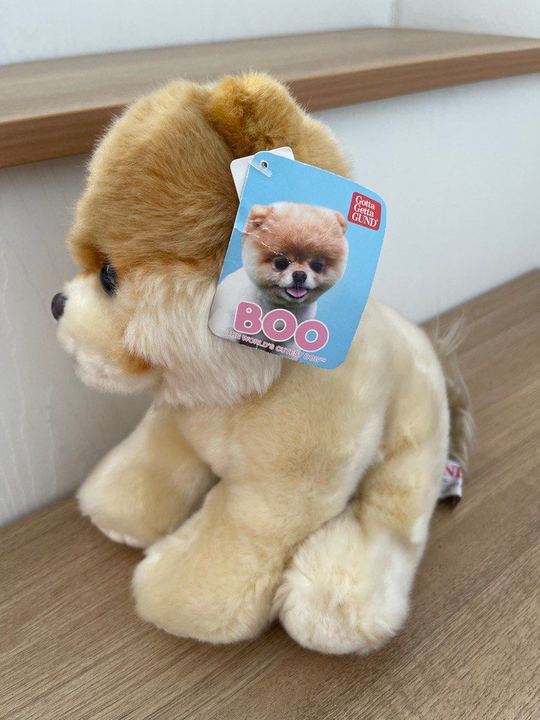 boo the dog teddy