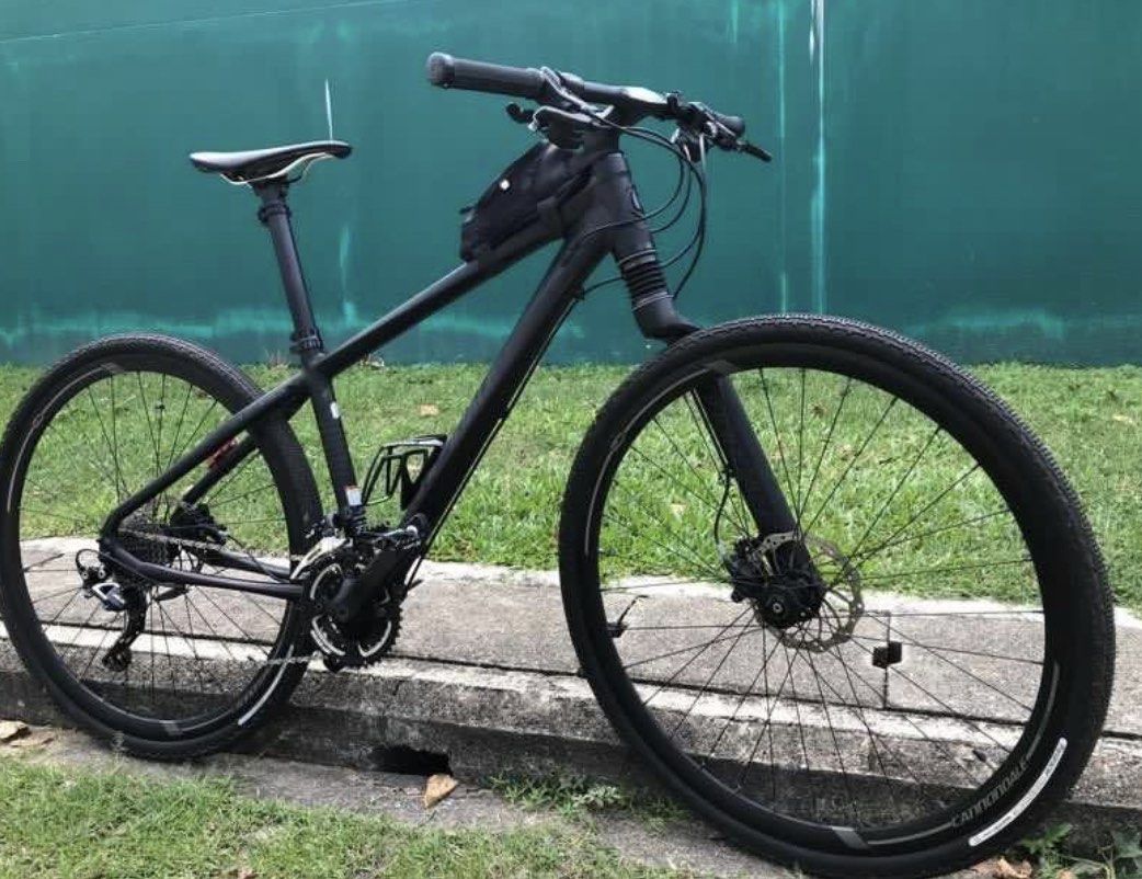 Cannondale Lefty BadBoy 1