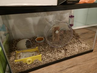 (Category: ) located in . Submitted by thisbeautyhub (Listing ID 1205599691, Image 1). Description: .