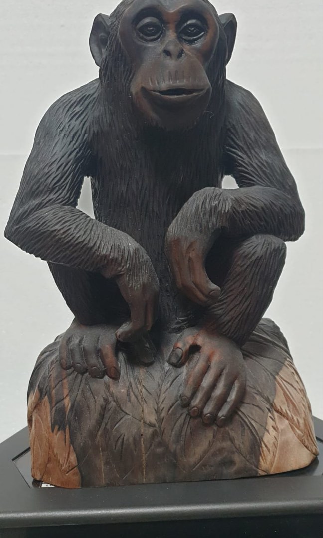 Solid Monkey One set of solid wood Monkey statue, Hobbies & Toys, Memorabilia ...