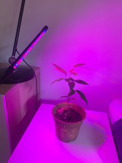 (Category: ) located in . Submitted by callenz (Listing ID 1205423221, Image 1). Description: .