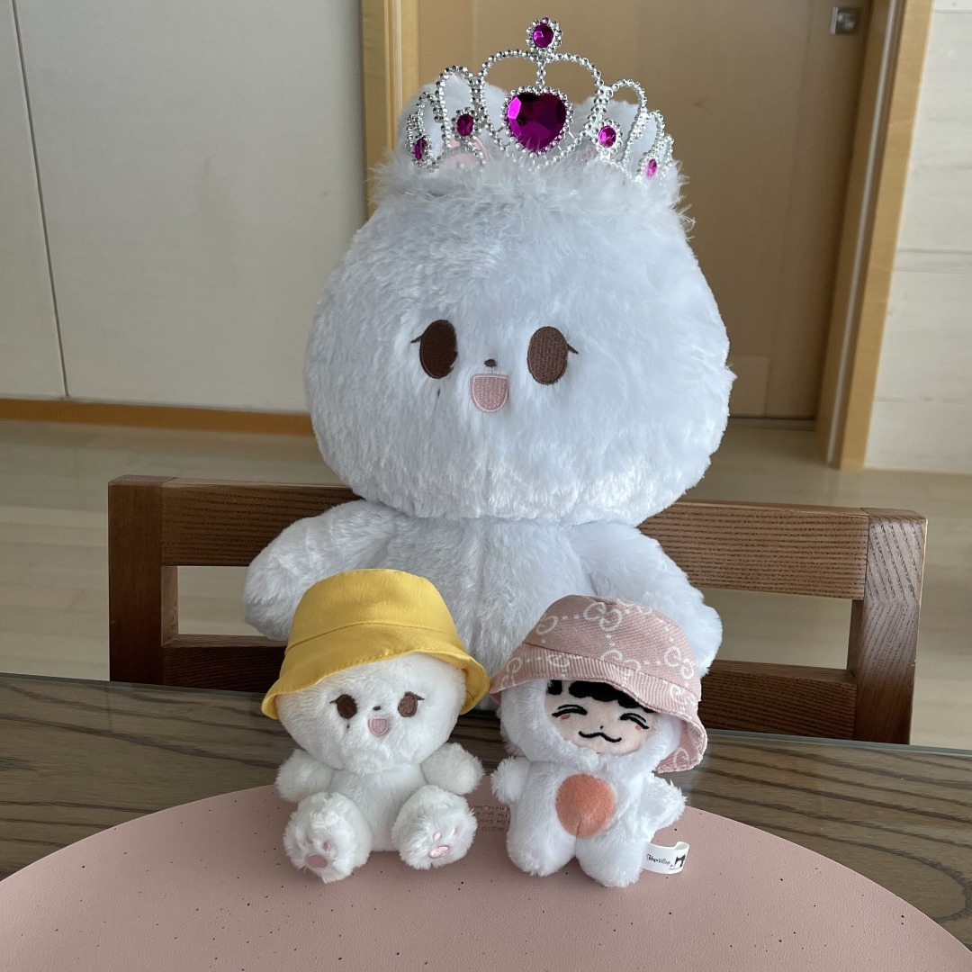 Seventeen SVT Jeonghan Wangcom-e 10cm Seated White Bunny Rabbit Doll by ...