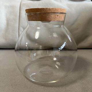 FWP Round Acrylic Container with Lid Closed Terrarium 13 x 10 cm, Furniture  & Home Living, Gardening, Pots & Planters on Carousell