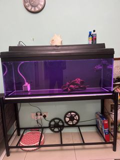 (Category: ) located in . Submitted by mkfikhri666 (Listing ID 1205859362, Image 1). Description: .