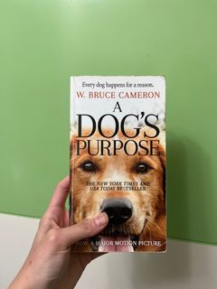 （分類：）位於 。 由 epipcaaa 提交（商品編號 1205709335，圖片 1）。簡介： 。