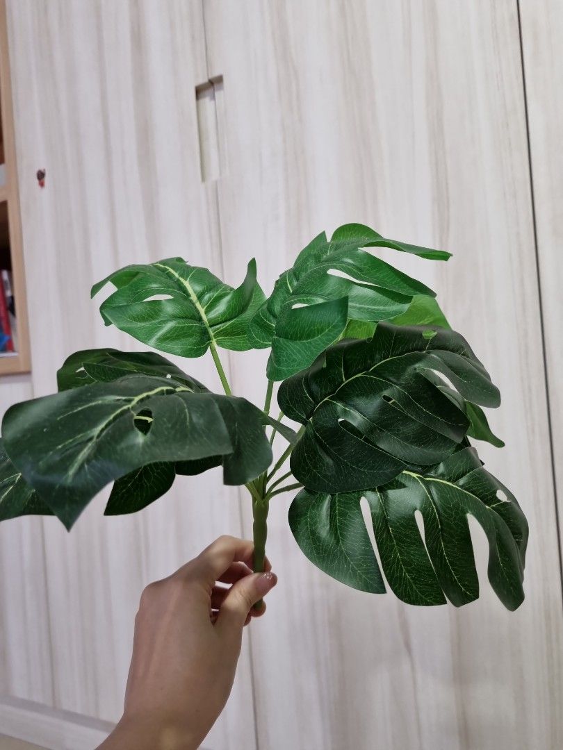 Artificial Plants IKEA & assorted, Furniture & Home Living, Gardening