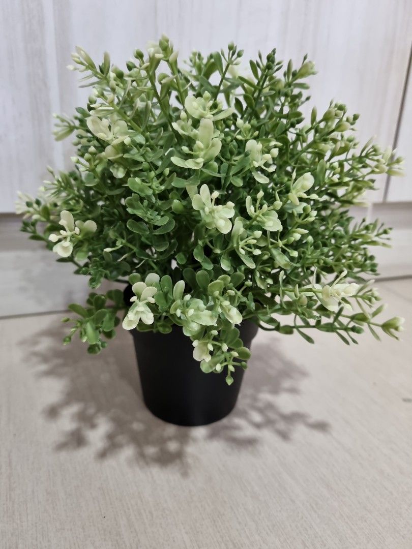 Artificial Plants IKEA & assorted, Furniture & Home Living, Gardening