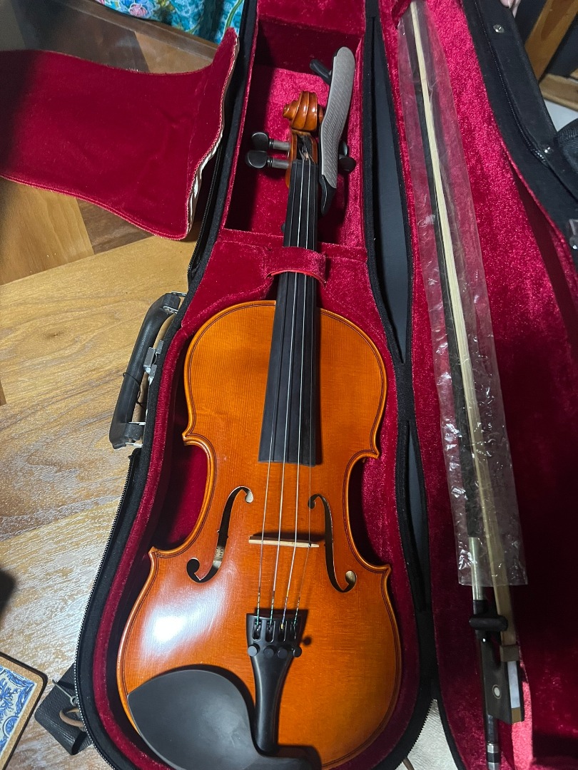 Beginner Violin, Hobbies & Toys, Music & Media, Musical Instruments on