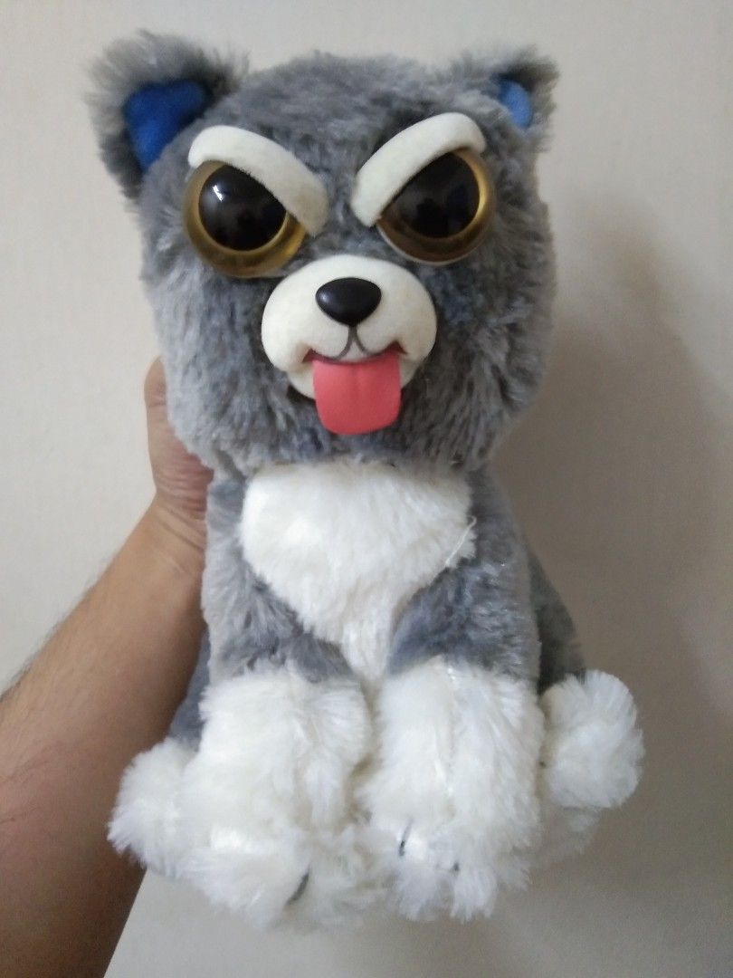 Feisty pets store plush