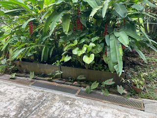 (Category: ) located in . Submitted by tgtan (Listing ID 1205655829, Image 1). Description: .