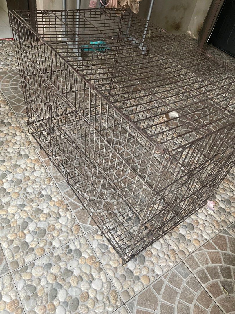 For Sale Dog Cage with plastic matting Heavy Duty Customize with FREE FOLDABLE WIRE DOG CAGE