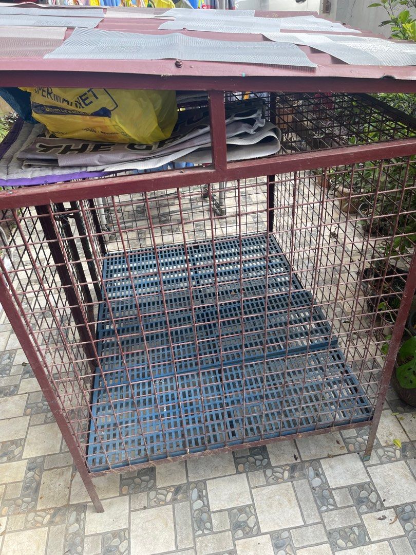 For Sale Dog Cage with plastic matting Heavy Duty Customize with FREE FOLDABLE WIRE DOG CAGE