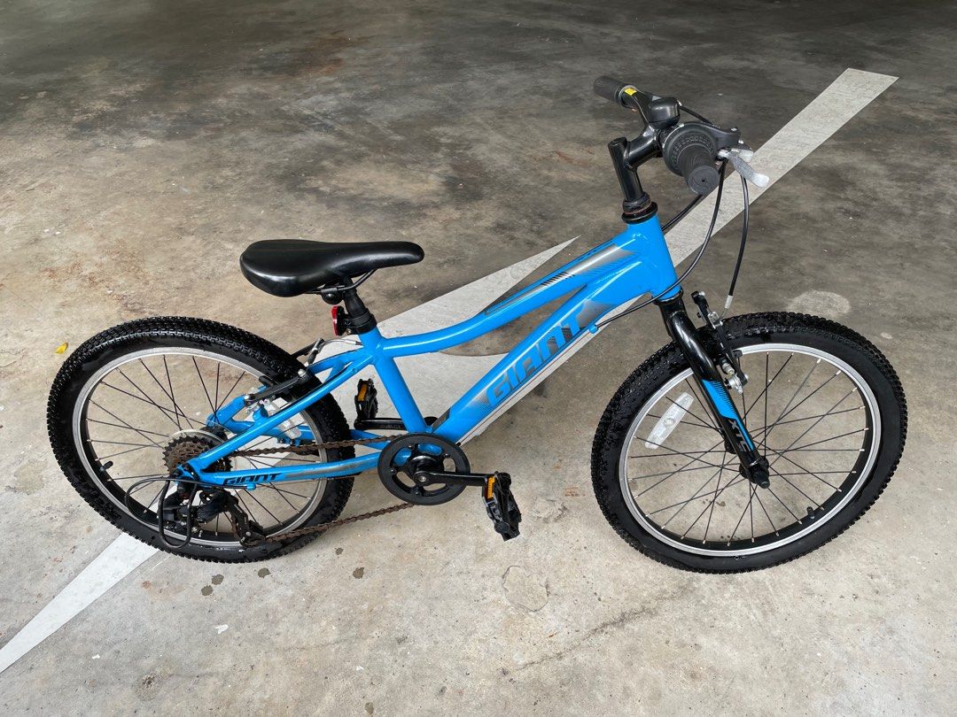 Giant Kids Bike XTC JR LITE 20 Sports Equipment Bicycles
