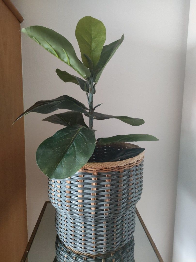 IKEA Fejka Tall Artificial Plant In Pot, Furniture & Home Living, Home Decor, Artificial Plants