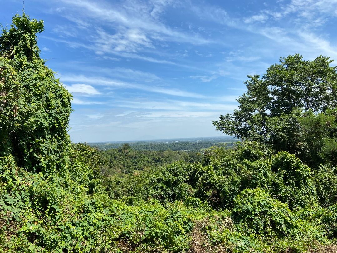 Overlooking 15 Hec Lot for Sale in Dinalupihan, Bataan / Florida Blanca